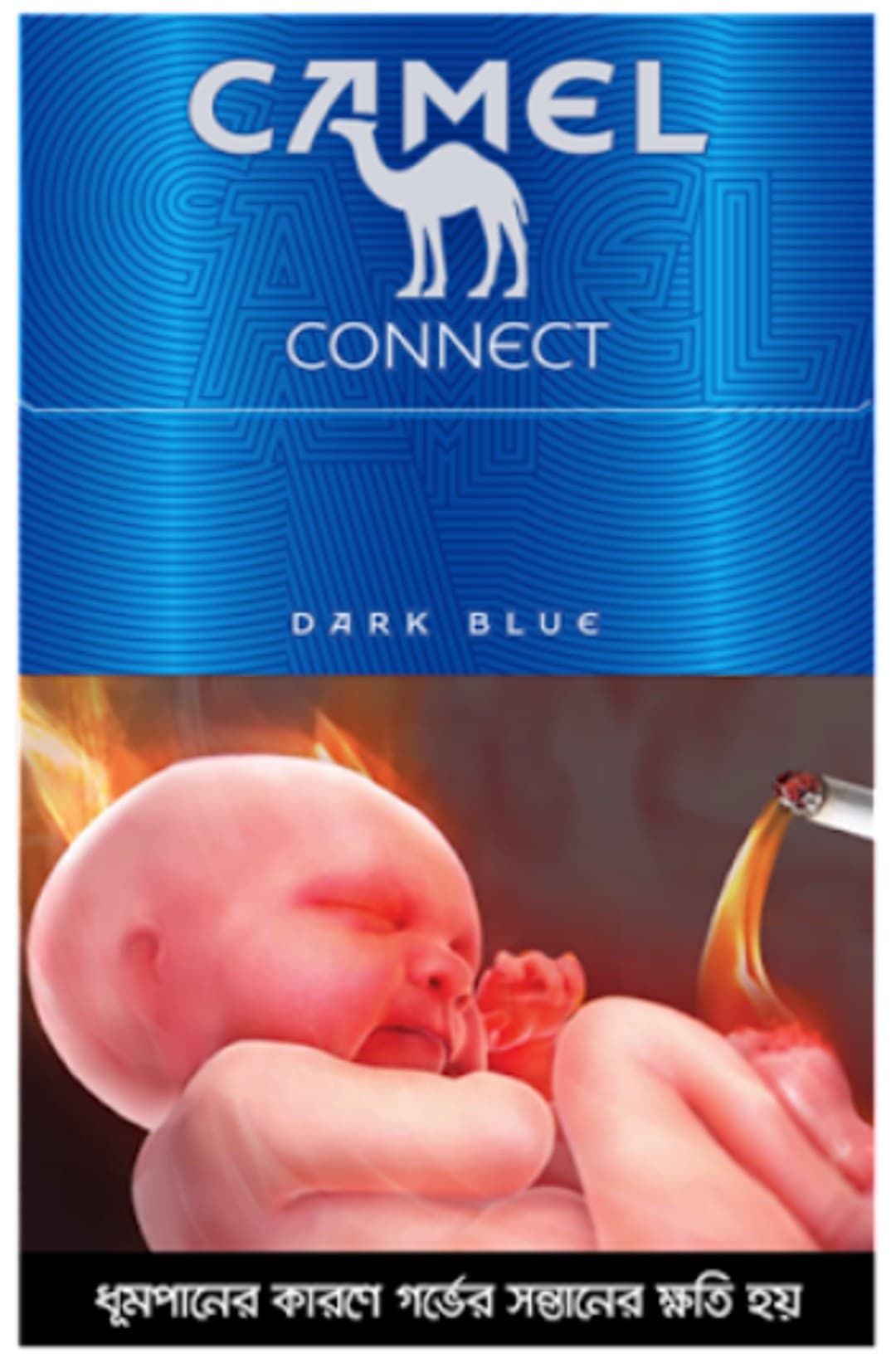 Camel Dark Blue (1 pc