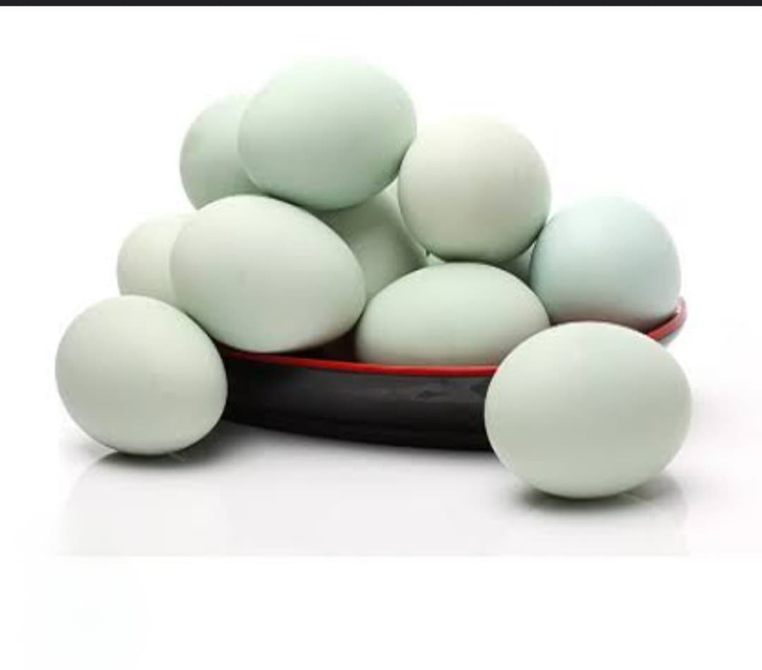 Duck Eggs 1Pcs ( deshiHasher Dim )