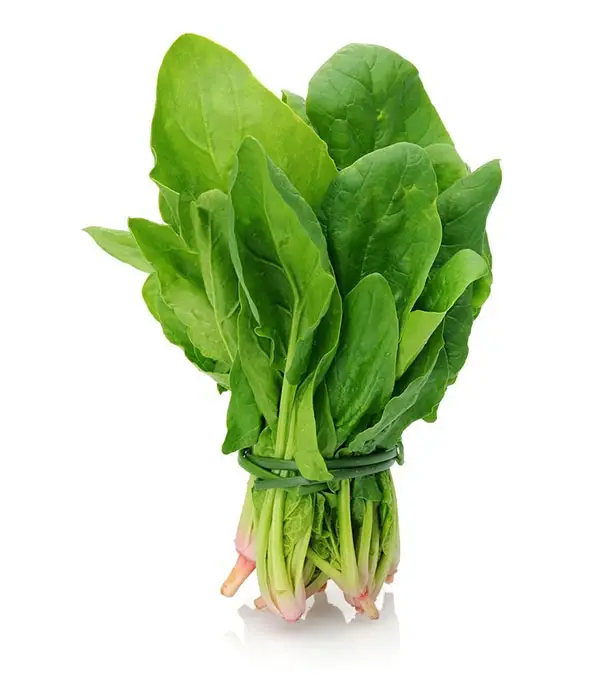 Buy Vegetable Spinach (পালংশাক) Online Vegetable Spinach (পালংশাক) 1 Bundle