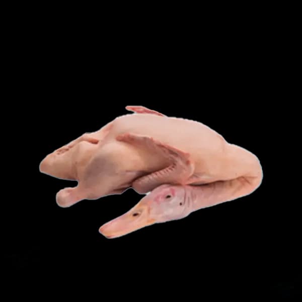 Beijing Duck Local & Clean Duck