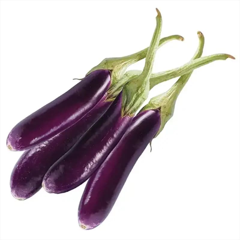 Brinjal বেগুন