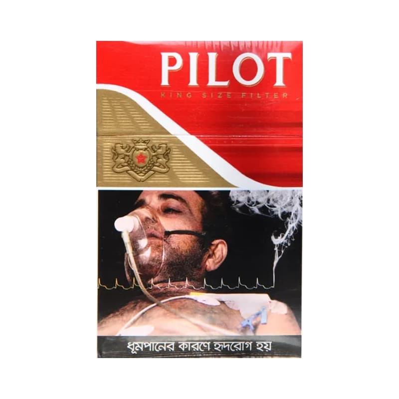 Pilot Regular  1pcs